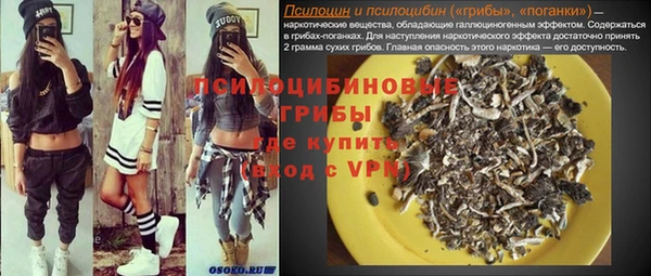 тгк Абаза