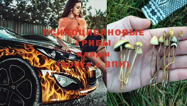 тгк Абаза