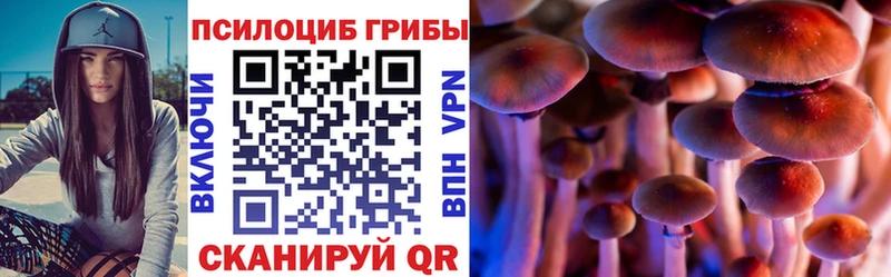 omg зеркало  наркошоп  Усолье  Псилоцибиновые грибы Psilocybe 